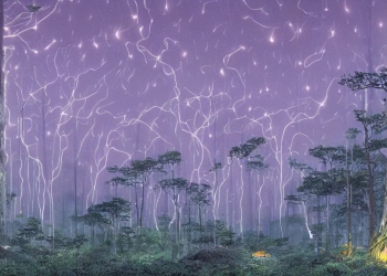 highly detailed illustration of a an old giant forest with fireflies and rain at night and lots of high exposure cummulonimbus clouds, abstract minimalist white sculpture in the middle by makoto shinkai, by moebius, by oliver vernon, by joseph moncada, by damon soule, by manabu ikeda, by kyle hotz, by dan mumford, by otomo, 4 k resolution